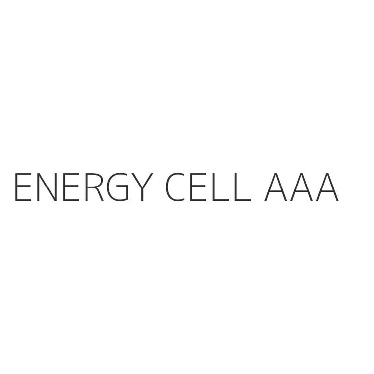 ENERGY CELL AAA