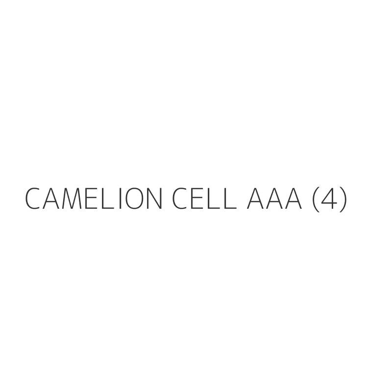 CAMELION CELL AAA (4)